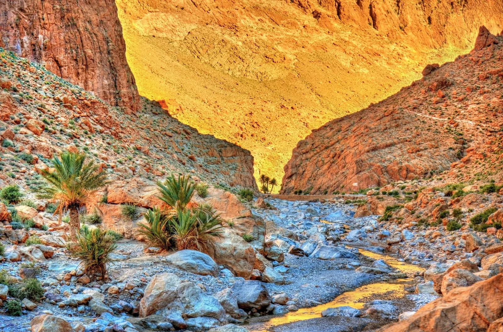 Palm trees and rocky riverbed beneath sunlit Dades cliffs